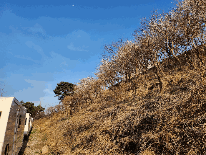 대구광역시 달성군 가창면 주리 492 숙박시설 경매 물건 사진