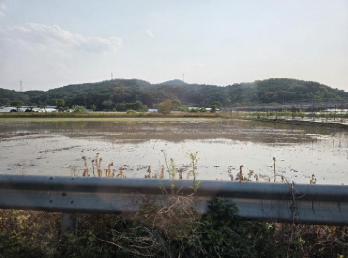 대구 달성군 하빈면 전 경매 물건 사진 5 · 2025타경31122