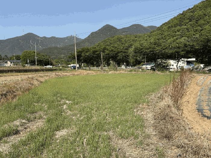대구 달성군 유가읍 대지 경매 물건 사진 5 · 2025타경31178