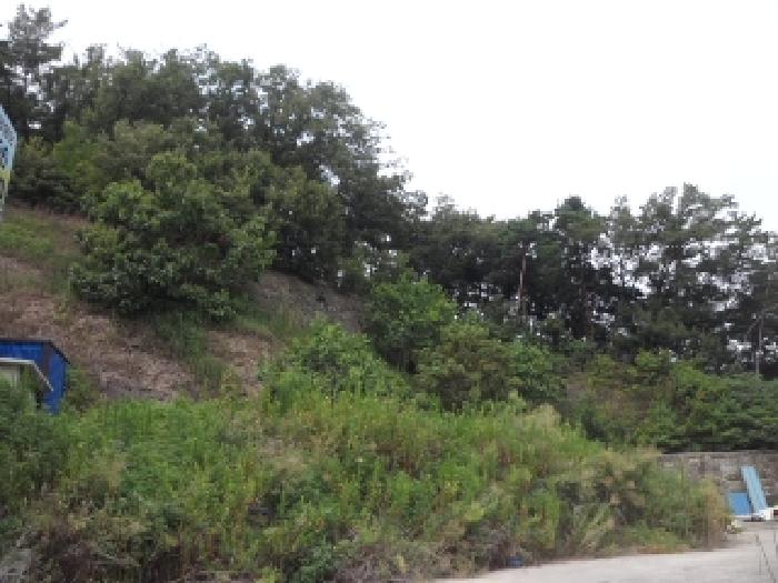 경북 고령군 개진면 공장/지식산업센터 경매 물건 사진