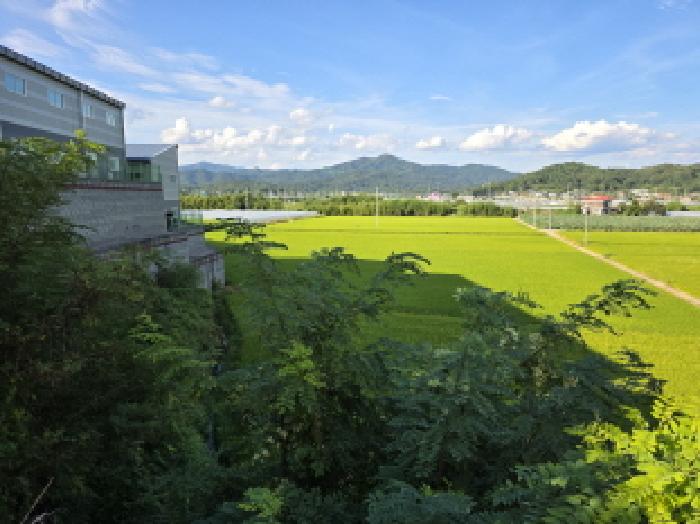경북 성주군 월항면 답 경매 물건 사진 6 · 2025타경31577