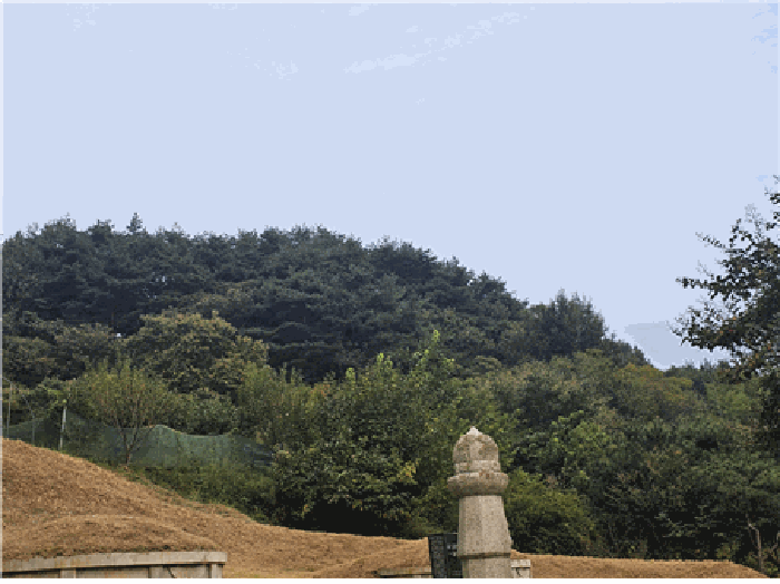 경상북도 성주군 수륜면 수륜리 340 전 경매 물건 사진