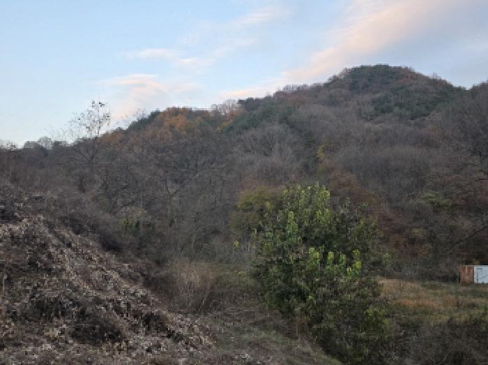 경북 성주군 수륜면 임야 경매 물건 사진