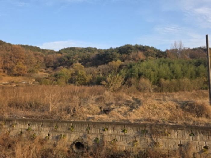 경북 성주군 수륜면 임야 경매 물건 사진 3 · 2025타경31606