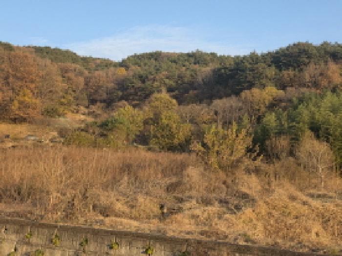 경북 성주군 수륜면 임야 경매 물건 사진 5 · 2025타경31606