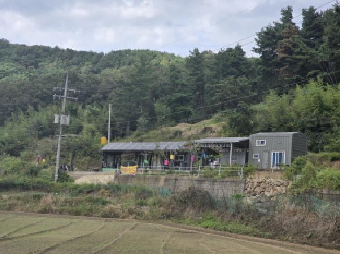 대구 달성군 하빈면 과수원 경매 물건 사진 6 · 2025타경31613