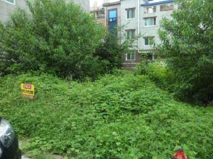 대구 달성군 유가읍 대지 경매 물건 사진 2 · 2025타경31699