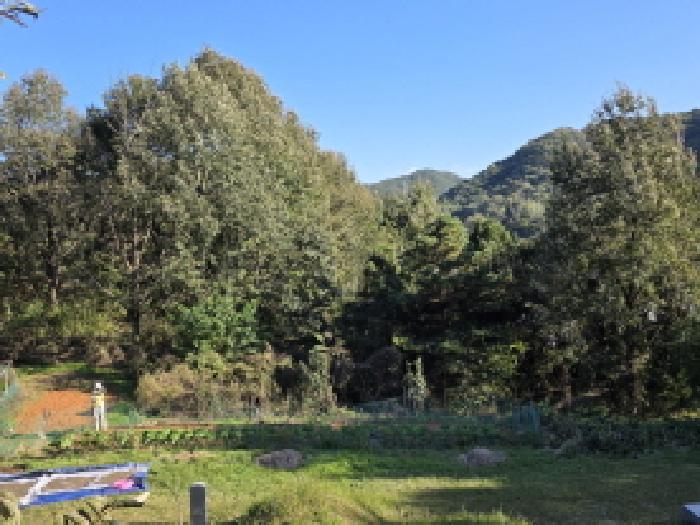 경북 성주군 선남면 전답 경매 물건 사진