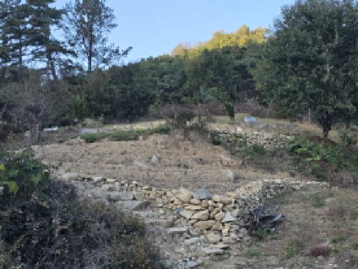 경북 성주군 금수강산면 임야 경매 물건 사진 3 · 2025타경31834