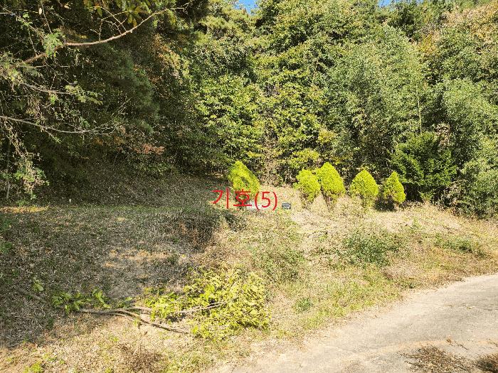경북 성주군 금수강산면 임야 경매 물건 사진 4 · 2025타경31834