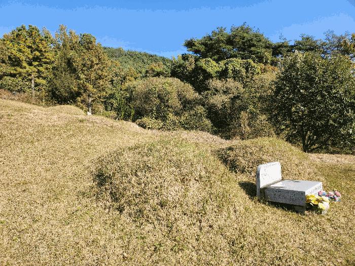 경북 성주군 금수강산면 임야 경매 물건 사진 5 · 2025타경31834