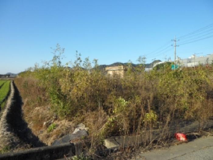 대구 달성군 현풍읍 답 경매 물건 사진 4 · 2025타경31886