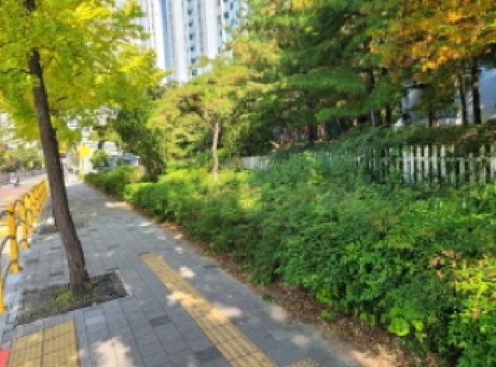대구 달서구 감삼동 대지 경매 물건 사진 3 · 2025타경31922