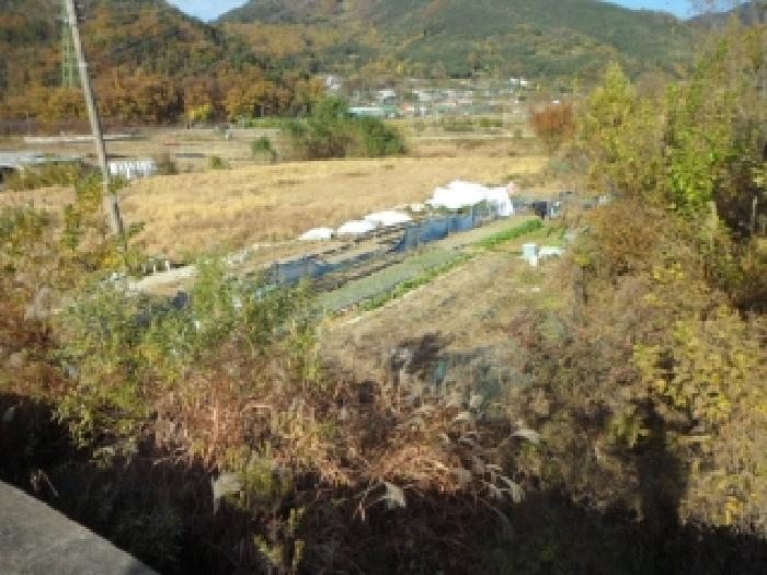 대구 달성군 유가읍 답 경매 물건 사진