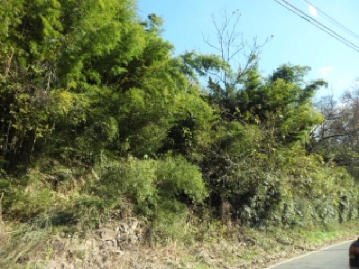 대구 달성군 옥포읍 대지 경매 물건 사진