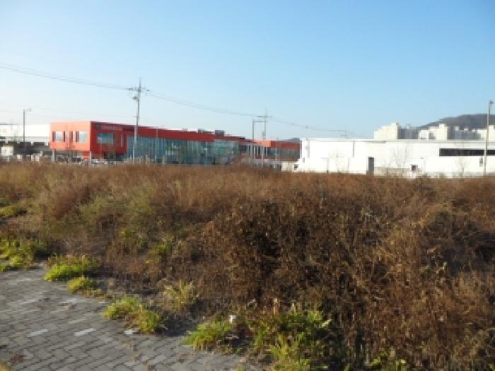 대구 달성군 구지면 대지 경매 물건 사진