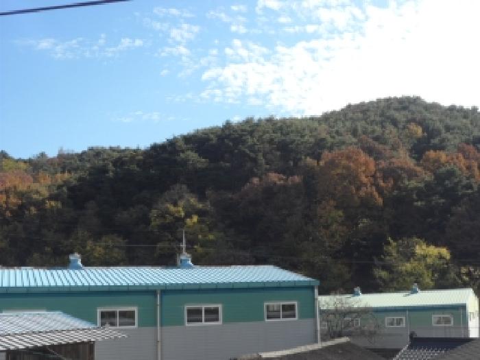 대구 달성군 논공읍 전 경매 물건 사진 2 · 2025타경31954