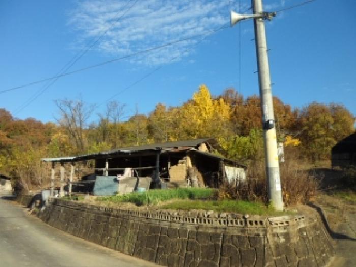 대구 달성군 구지면 대지 경매 물건 사진