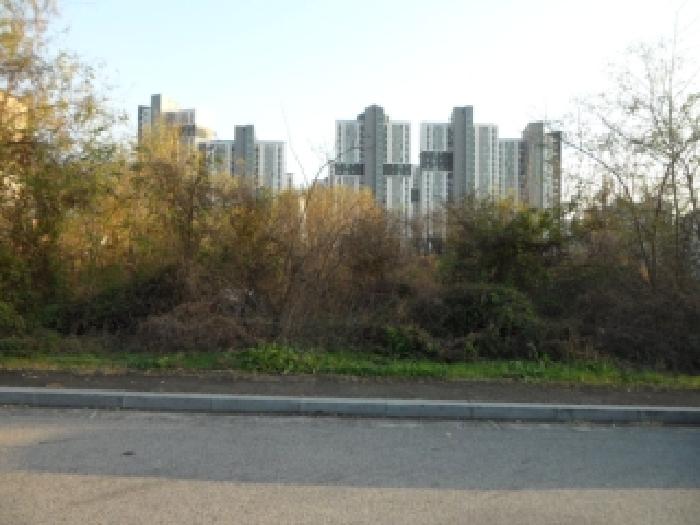 대구 달성군 유가읍 대지 경매 물건 사진 2 · 2025타경32045