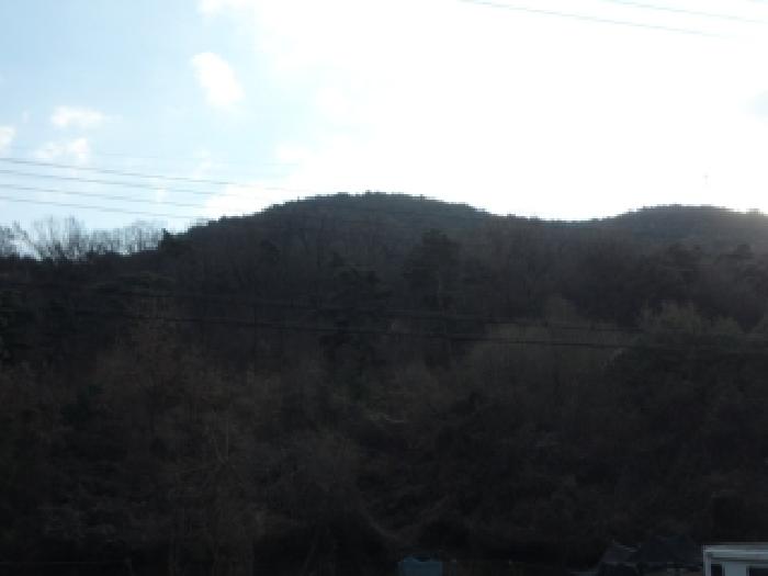 대구 달성군 옥포읍 임야 경매 물건 사진