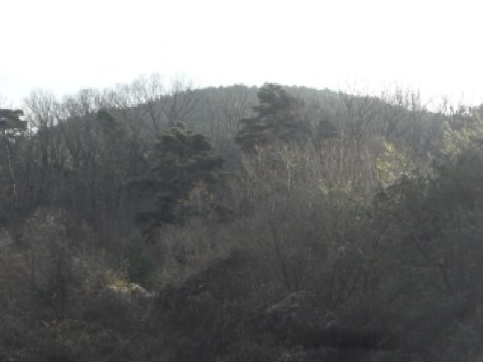 대구 달성군 옥포읍 임야 경매 물건 사진 3 · 2025타경32056