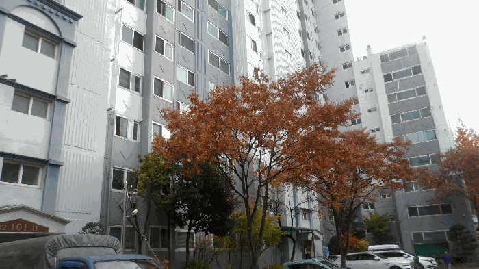대구 서구 비산동 아파트 경매 물건 사진 6 · 2025타경32082