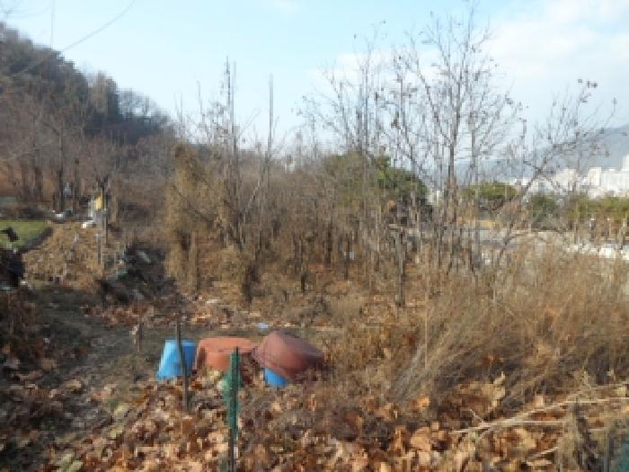 대구 달성군 논공읍 전답 경매 물건 사진