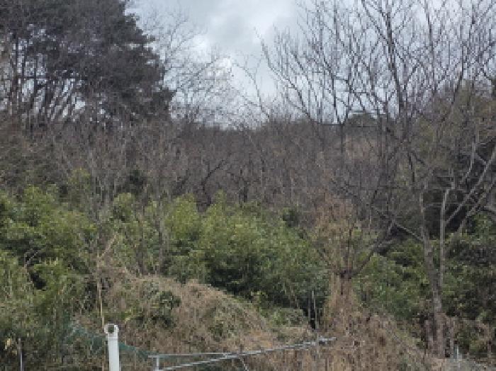 경북 성주군 수륜면 전 경매 물건 사진