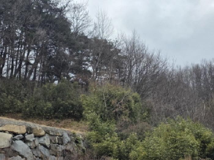 경북 성주군 수륜면 전 경매 물건 사진 2 · 2025타경32197