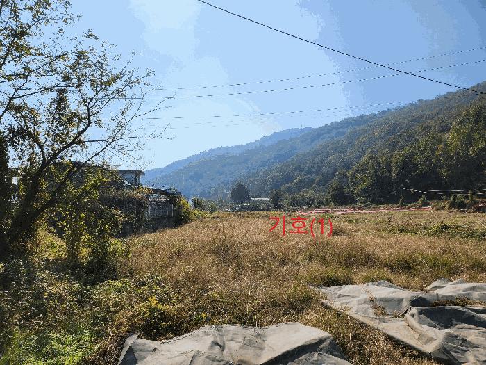 경북 고령군 우곡면 전 경매 물건 사진 2 · 2025타경3224