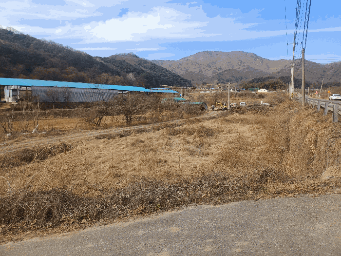 경북 성주군 초전면 답 경매 물건 사진 6 · 2025타경32245
