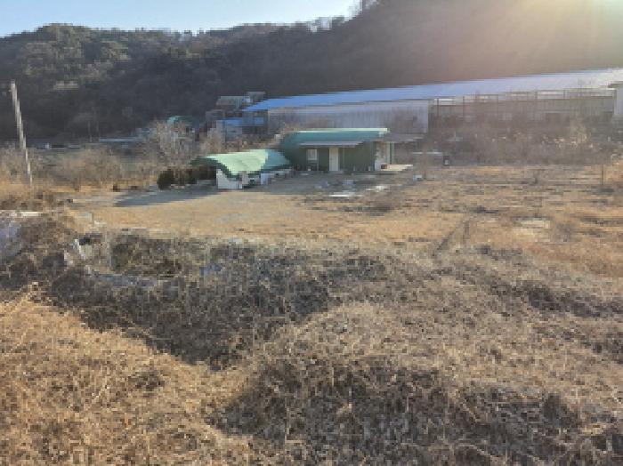 경북 성주군 초전면 답 경매 물건 사진 2 · 2025타경32245