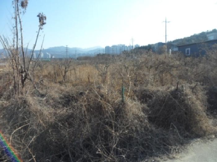 대구 달성군 화원읍 답 경매 물건 사진 3 · 2025타경32247
