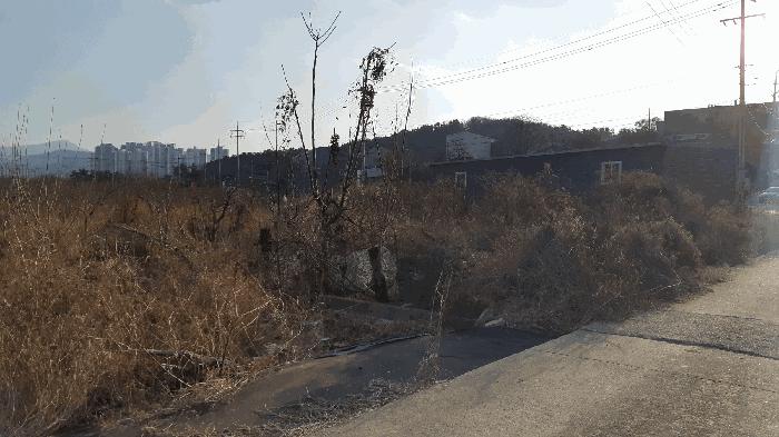 대구 달성군 화원읍 답 경매 물건 사진 4 · 2025타경32247