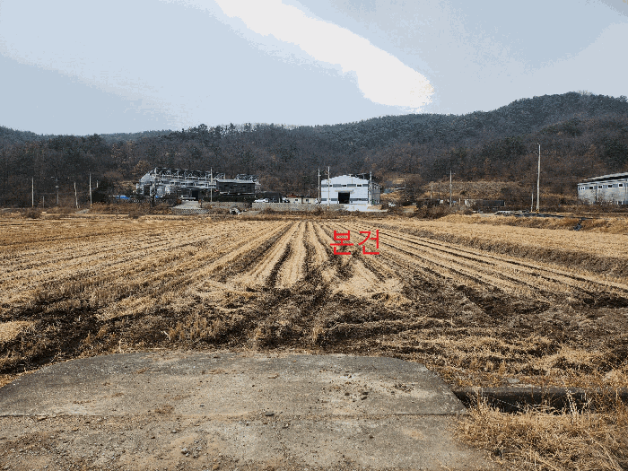 경북 고령군 성산면 답 경매 물건 사진 6 · 2025타경32254