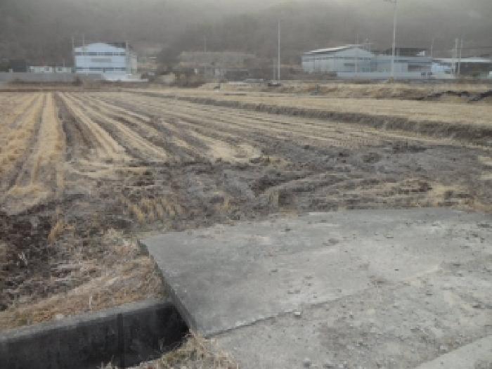경북 고령군 성산면 답 경매 물건 사진