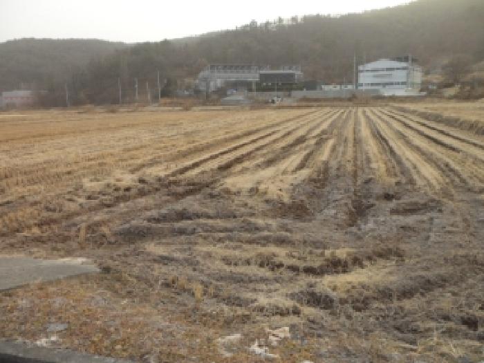 경북 고령군 성산면 답 경매 물건 사진 2 · 2025타경32254