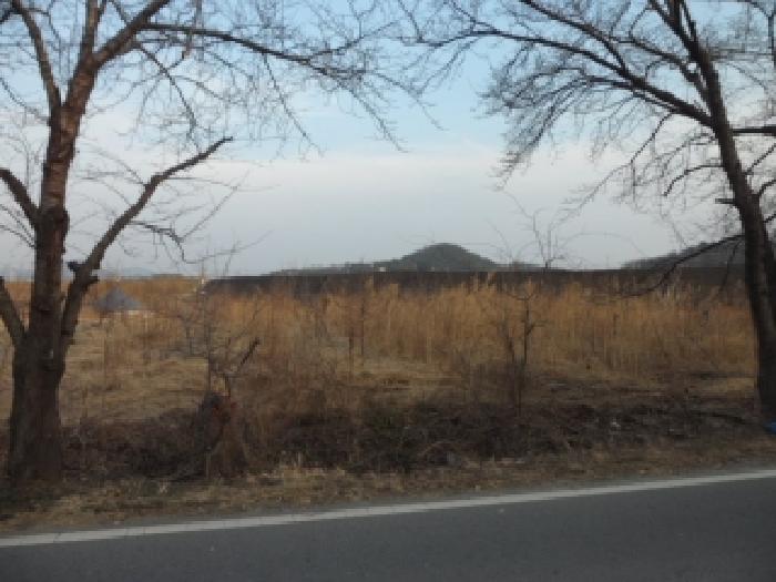 대구 달성군 구지면 대지,임야,전답 경매 물건 사진