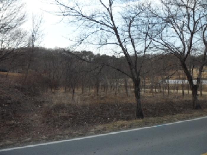 대구 달성군 구지면 대지,임야,전답 경매 물건 사진 5 · 2025타경32256