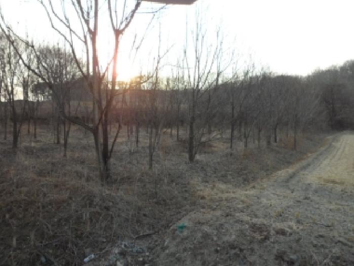 대구 달성군 구지면 대지,임야,전답 경매 물건 사진 6 · 2025타경32256