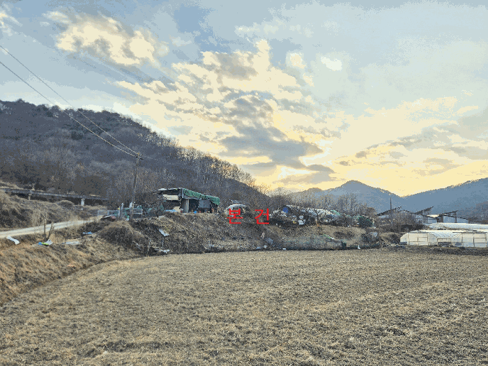 경북 성주군 선남면 전 경매 물건 사진 6 · 2025타경32258