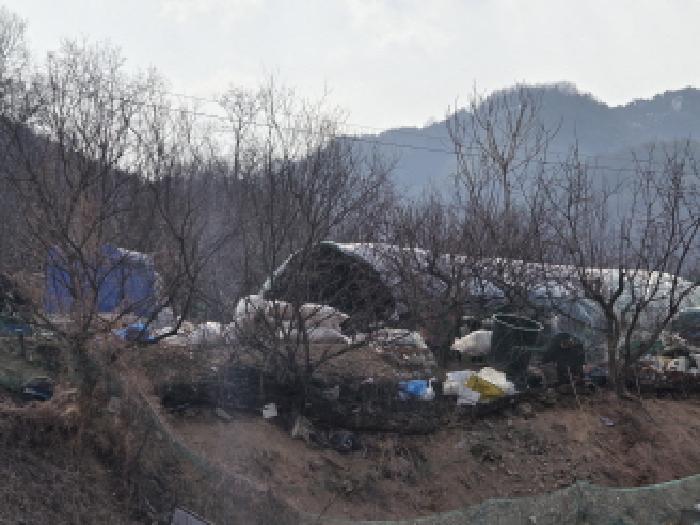 경북 성주군 선남면 전 경매 물건 사진