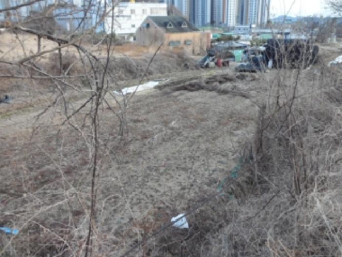 대구 달성군 구지면 전답 경매 물건 사진