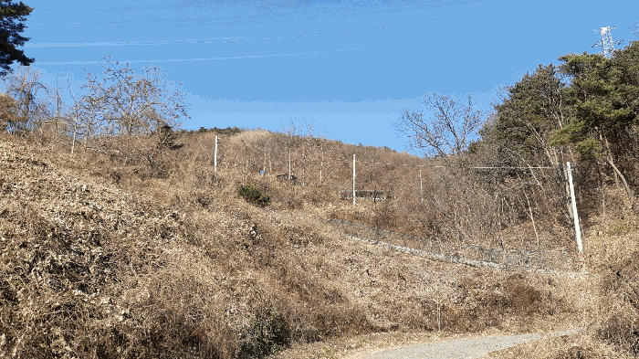 경상북도 고령군 개진면 오사리 산102-3 임야 경매 물건 사진