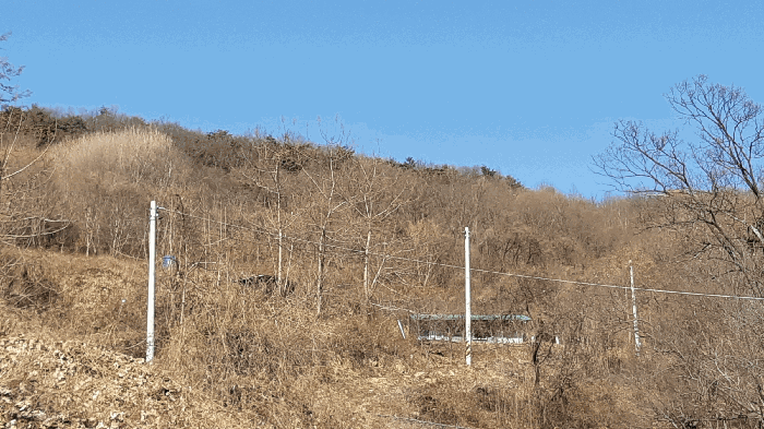 경북 고령군 개진면 임야 경매 물건 사진 5 · 2025타경32289