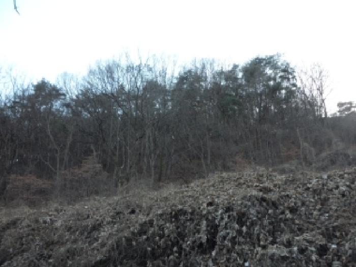 경북 고령군 개진면 임야 경매 물건 사진 2 · 2025타경32289