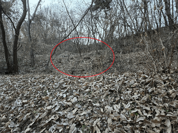 경북 성주군 대가면 임야 경매 물건 사진 6 · 2025타경32292