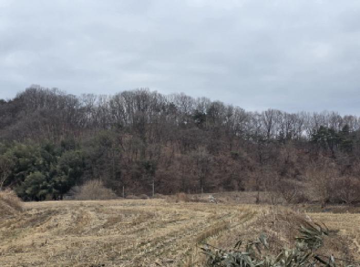 경북 성주군 대가면 임야 경매 물건 사진