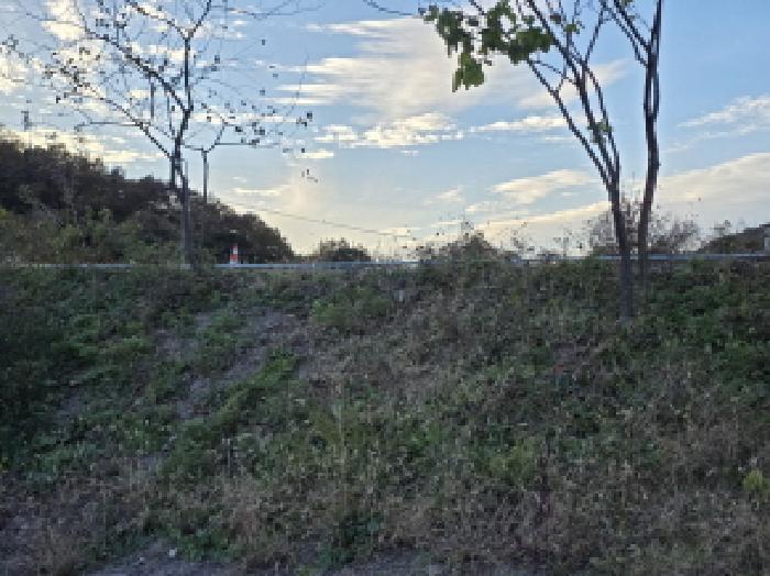 경북 성주군 월항면 공장용지 경매 물건 사진 4 · 2025타경3248