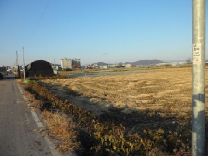 경북 고령군 다산면 답 경매 물건 사진 3 · 2025타경3361